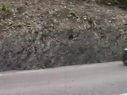 Princess Charlene and Prince Albert of Monaco at the Monaco Royal Wedding: Religious Ceremony Arrivals at Monaco . (Footage by WireImage Video/Getty Images Entertainment Video) Stock Footage