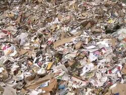 MS PAN Waste paper in paper mill / Glueckstadt, Schleswig-Holstein, Germany Stock Footage