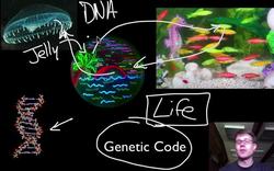 Essential Characteristics of Life Instructional Video