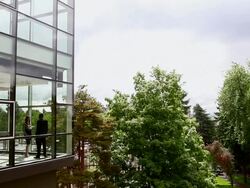 WS businessman and businesswoman in discussion in glass walled conference room view from outside/Seattle, Washington, USA Stock Footage