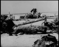 AAR SKYJACKING News Clip