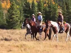 Cowboy and two cowgirls riding through the mountain foothills Stock Footage