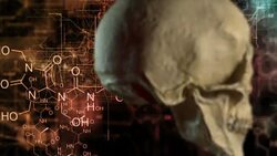 chemistry skull Stock Footage