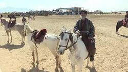 CLEAN : Afghanistans ultimate test of manhood: Polo with a carcass News Clip