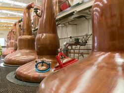 MS View of worker watching distillation process in whisky factor  / Rothes, Speyside, Scotland Stock Footage