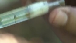 Zika looms over the Rio Olympics  Instructional Video