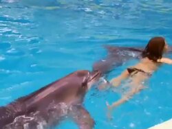 Girl and dolphin Stock Footage