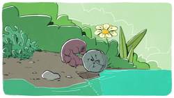 TED-Ed: Meet the tardigrade, the toughest animal on Earth - Thomas Boothby Instructional Video