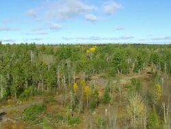 WS ARIEAL View of Wooded area / Maine, United States Stock Footage