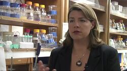 Prof. Erica Ollmann Saphire, a Calif. immunologist, says the Ebola virus is one of the world's deadliest viruses. The use of an experimental drug for two Americans diagnosed with Ebola is raising ethical questions about access to such drugs.  (Aug. 6) News Clip
