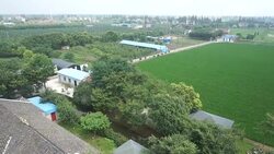 Aerial farm, Chinese in rural areas. Stock Footage