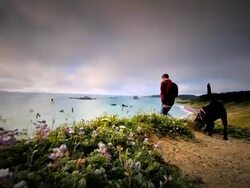 WS SLO MO POV View of young man walking his dog on trail by ocean / Cape Blanco State Park, Oregon, United States Stock Footage