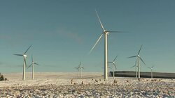 Wind turbines and sheep at wind farm News Clip