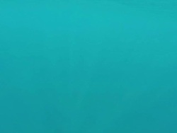 Underwater scene Stock Footage