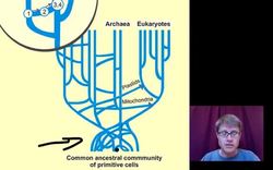 Mechanisms that Increase Genetic Variation Instructional Video