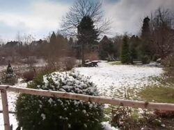 Melting of snow. Stock Footage
