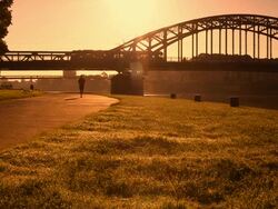 Early jogging Stock Footage