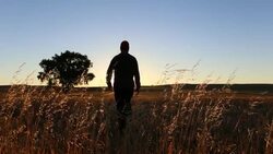 Man walks across prairie grasses towards sunrise Stock Footage