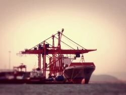 Port Stock Footage