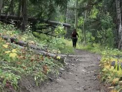 Hispanic woman running on forest path Stock Footage