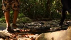 Wildlife Photographer taking picture of bird in the rainforest jungle Stock Footage