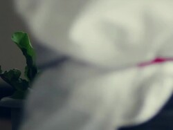 Restaurant food preparation Stock Footage