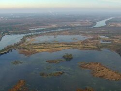 WS AERIAL View of wooded area with river and small lakes / South Carolina, United States Stock Footage