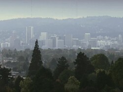 WS View of Cars drive down road in front of Portland, Oregon, nestled in trees / Portland, Oregon, United States  Stock Footage