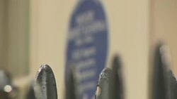 Blue Plaque awarded to Noor Inayat Khan News Clip