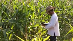 Smart Farmer Stock Footage