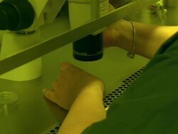 Laboratory technicians at work in Fertility Clinic News Clip