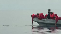 VOICED : El bajo coste, oportunidad y amenaza en las Azores News Clip