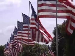American Flags in the Wind Stock Footage