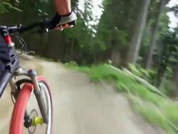 Mountain Biking Through Green Forest TL POV Stock Footage