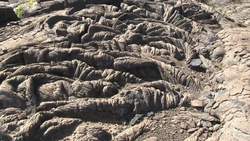 What is Ecological Succession? Instructional Video