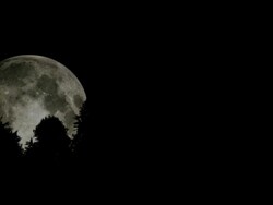 Full Moon Stock Footage