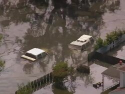 Aerial sunken cars on flooded street / zoom out flooded Gentilly subdivision / New Orleans, Louisiana Stock Footage