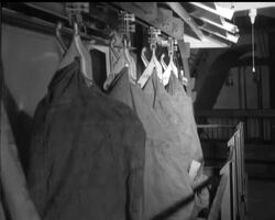 SORTING AT SPEED News Clip