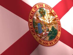 Stylized Florida Flag Stock Footage