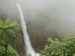 WS Shot of Toro Falls Park / Costa Rica Stock Footage