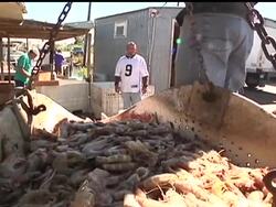 Amid revelations that doubts have surfaced about the cement Halliburton used to seal the well that blew out in the Gulf of Mexico, residents and officials say, if it's true, Halliburton is only partially to blame. Instructional Video