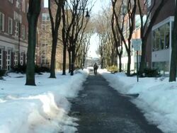 MS Shot of city street covered by snow bicycle rider passing on street / Boston, Massachusetts, United States Stock Footage