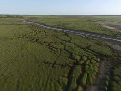 WS AERIAL View of river flowing through marshes / Kwazulu Natal, South Africa Stock Footage