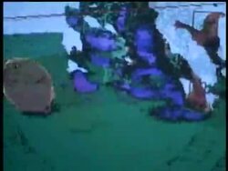 Robots Battle on Soccer Field News Clip