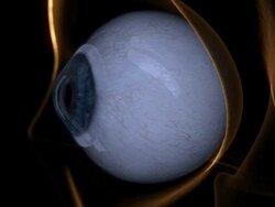 Extreme Close Up push-in - Eye drops reveal parasites on an eye with a contact lens in a computer-generated animation. Stock Footage