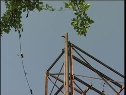 Health problems 25 years after the Bhopal gas tragedy News Clip