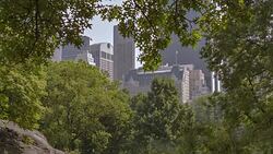 Central park NYC Stock Footage