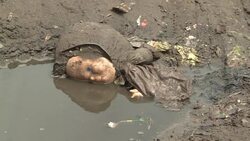 VOICED : Half a dollar a day for Maputos dump workers News Clip