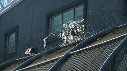 Delaney Hall immigration detention centre News Clip