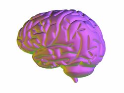 Rotating model of a healthy human brain Stock Footage